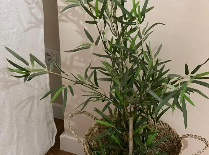 Mh Apartment, Free Parking, Flexible Check In *